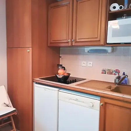 Apartment Appartement Studio Aux 2 Alpes Montagne Les Deux Alpes